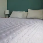 Cozy Two-Bedroom Apartment